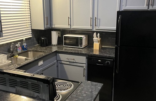 Houston Apartment | This location is for fun and excitement. 1 bedroom with 2 queen size beds