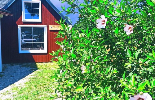 Plaski Apartment | Three Little Birds Suite provide country side accommodation and artist studio.