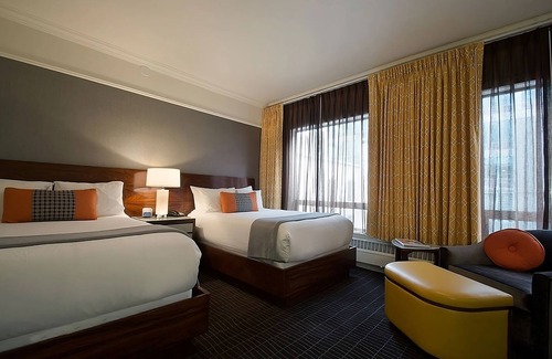 Downtown Portland Hotel | Three Stylish and Pet-friendly Accommodations Close to Int'l Rose Test Garden!