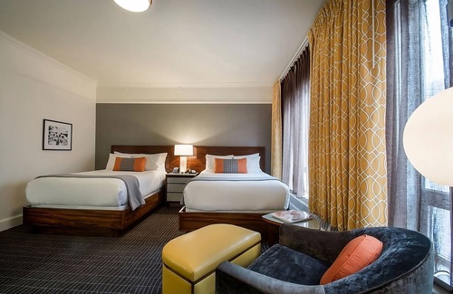 Downtown Portland Hotel | Three Stylish and Pet-friendly Accommodations Close to Int'l Rose Test Garden!