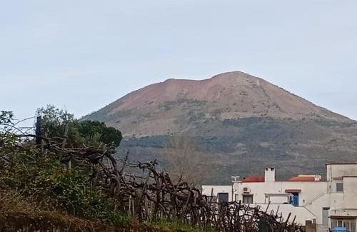 Trecase House | Threehouses