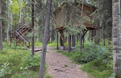 College Cabin | Time for adventure. Sleep in a treehouse. 5 minutes from the airport & downtown!