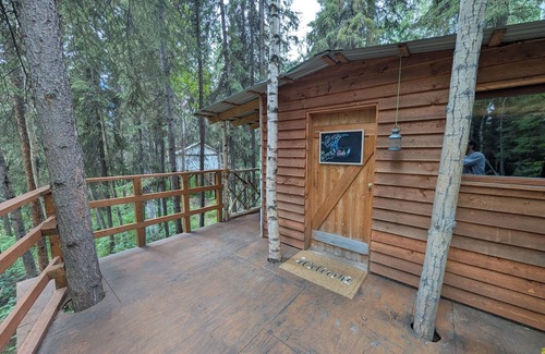 College Cabin | Time for adventure. Sleep in a treehouse. 5 minutes from the airport & downtown!