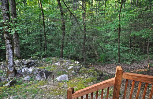Townsend Cabin | Time Well Wasted - A Mountain Woodland Retreat