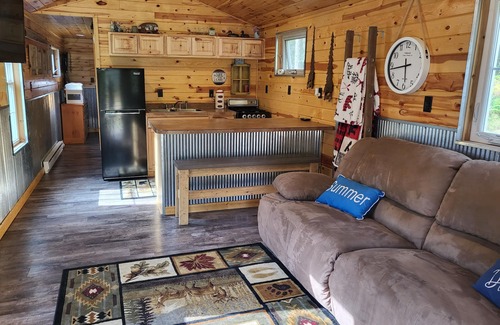 Nevis Cabin | Tiny cabin in towering pines, with lake view. Pets accepted!