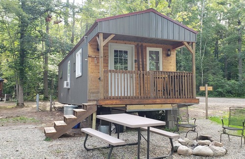 Nevis Cabin | Tiny cabin in towering pines, with lake view. Pets accepted!