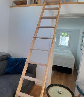 Arbshagen Other | Tiny Haus C235 Wacholderdrossel