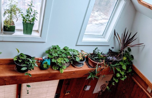 Palenville Apartment | Tiny house A frame-Woodstock, Kaaterskill Falls