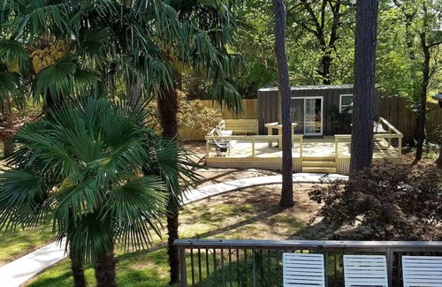 Lithia Springs House | Tiny House & Huge Arcade Near Six Flags Over Georgia - Clothing Optional