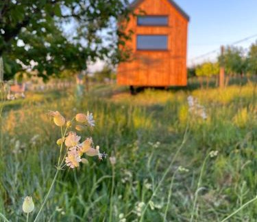 Boretice Cabin | Tiny house Pálava
