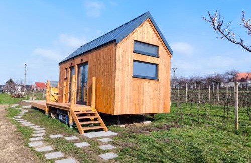 Boretice Cabin | Tiny house Pálava