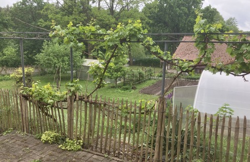 Carpin Condo | To stay on HeuBergeRaum