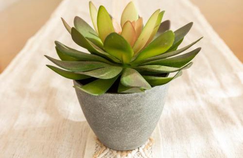 Torrenueva Apartment | Todimer Neptuno