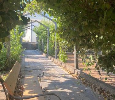 Casais Apartment | Tomar Village, Keep cool in the pool!