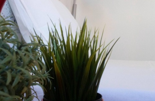 Tomar Apartment | Tomarhousing - Guest accommodation