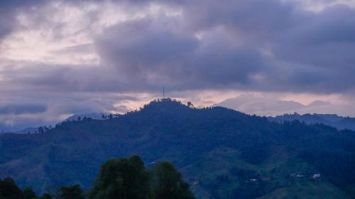 Neira Cabin | Tominejo Ecolodge - Casas en los árboles
