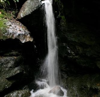 Neira Cabin | Tominejo Ecolodge - Casas en los árboles