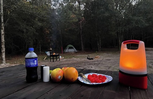 Tallahassee RV Rental | Tootsy Large group tent Stay Farms