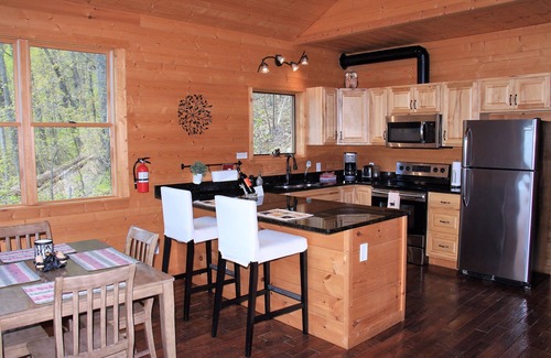 Fairview Cabin | Top of the world views; no hurricane damage; we would love your support!