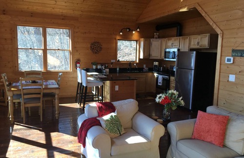 Fairview Cabin | Top of the world views; no hurricane damage; we would love your support!