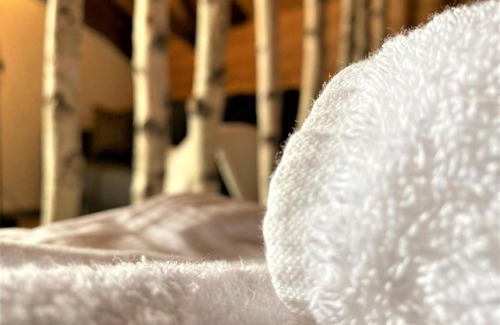 Perlesreut Apartment | TOP-URIGES Apartment mitten im Bayerwald +NETFLIX