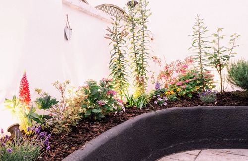 Shaldon Cottage | TOPCLIFF COTTAGE, pet friendly, character holiday cottage in Shaldon