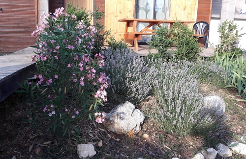 Brouzet-les-Ales House | Totally independent 3-star family home with swimming pool in a park.