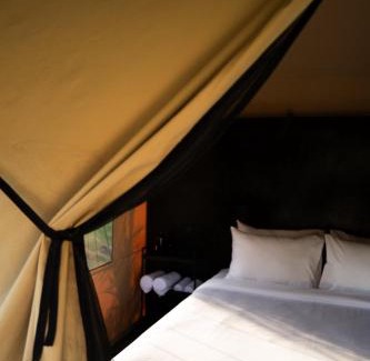 Toya Bungkah Hotel | Toteme Glamping and Hot Spring Kintamani