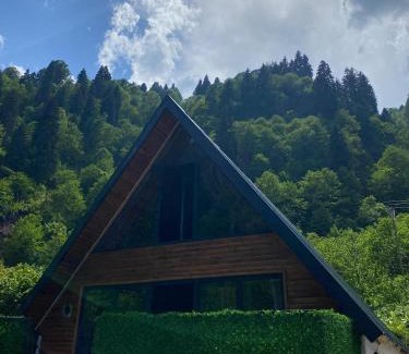 Camlihemsin Ski Chalet | Tozkaban Bungalow