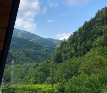 Camlihemsin Ski Chalet | Tozkaban Bungalow