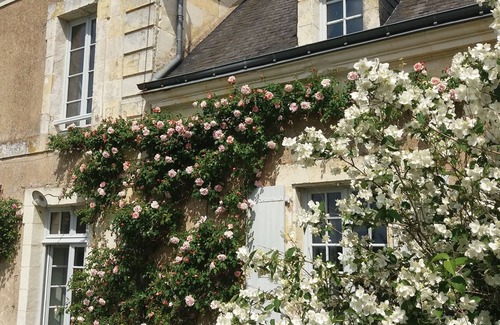 Ponce sur Le Loir House | Très Jolie Maison Ancienne, Très Confortable, Dominant la Vallée du Loir