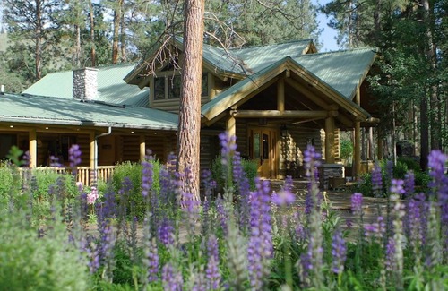 Grantsdale Cabin | Traditional Skwala Cabin Room on The Bitterroot River