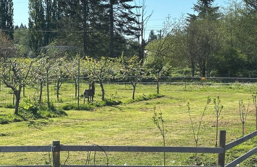 Arlington Cottage | Tranquil 3-bedroom cottage Farm Stay