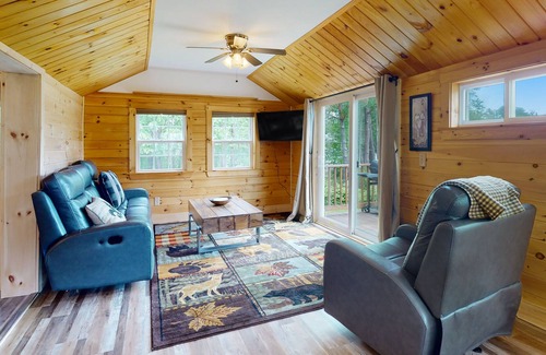 Belfast Cabin | Tranquil lake view cabin with fireplace, gas grill, WiFi, smart TV, & deck
