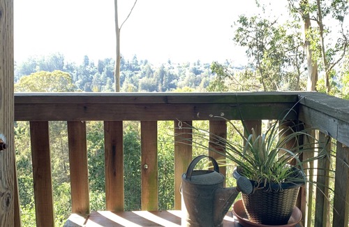 Piedmont Pines Apartment | Tranquil Treehouse Studio