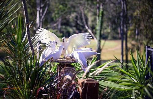 Cedar Creek House | Tranquility Ranch by Tiny Away