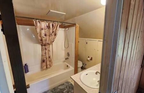 Kenny Lake Cabin | Trapper Cabin: Dog Friendly