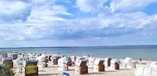 Timmendorfer Strand Apartment | Traumoase in Timmendorfer Strand