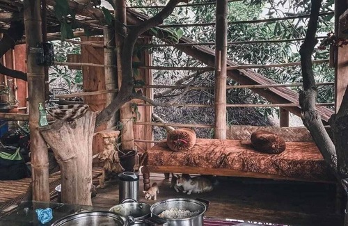 Narayanapura Other | Tree and Mud House