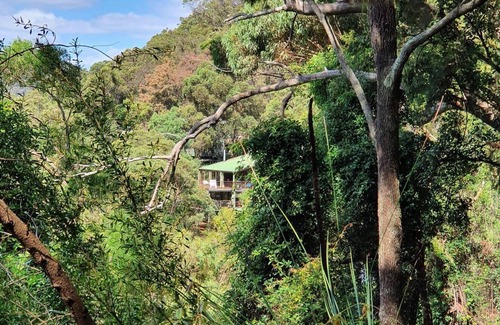 Bar Point House | Tree house by the river - forest serenity just an hour from the city