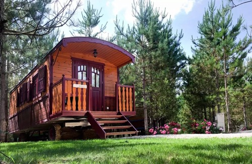 Dienne Cabin | Treehouse 4 People