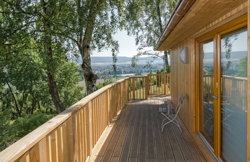Aerzen Cabin | Treehouse Birkenhöhe - Aerzener Baumhaushotel Waldquelle