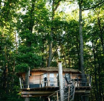 Bojnice Other | Treehouse Bojnice