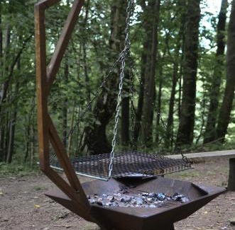 Velke Losiny Cabin | Treehouse Velké Losiny