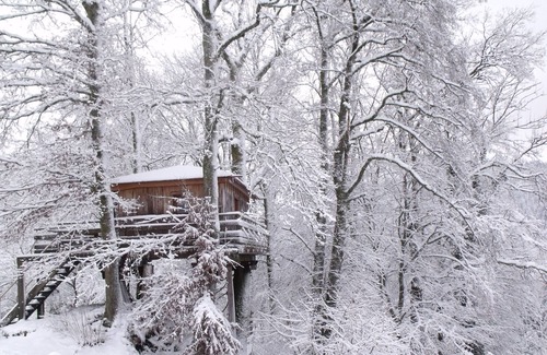 Ferdrupt Ski Chalet | Treehouse with terrace, sauna, and BBQ in Ferdrupt