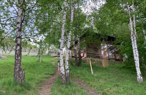 Petrosani Ski Chalet | Trees House Parang