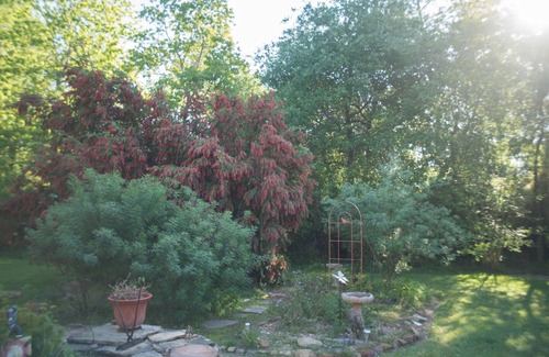 Tomball Apartment | Treetop Studio - NW Houston Area