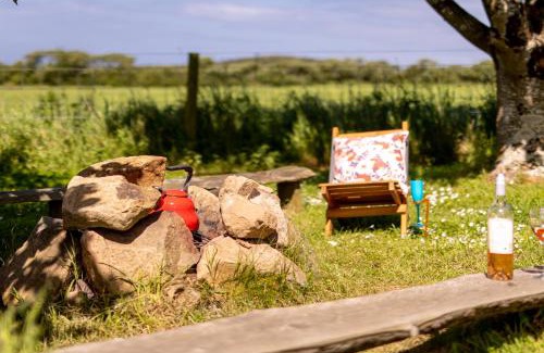 Fishguard Other | Tregroes Glamping Geodomes