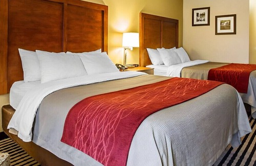 Owatonna House | Trendy Sanctuary for Your Lovely Crew!Free WiFi