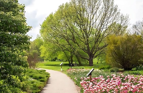Lexington Hotel | Trip to Lexington on the Budget, Stay at GuestHouse Lexington, Free Parking!